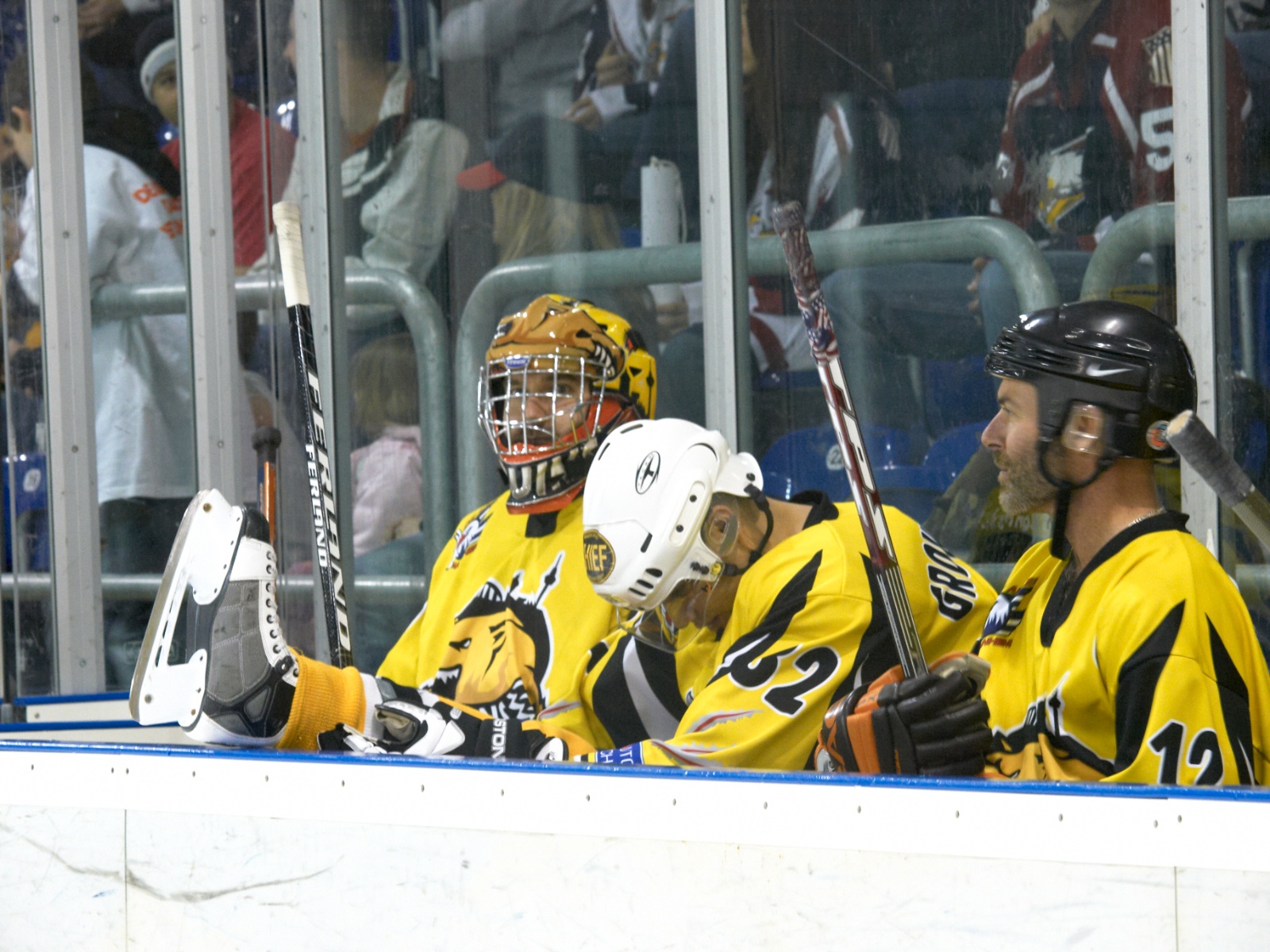 Eishockey 2009 04 04 21 09 15