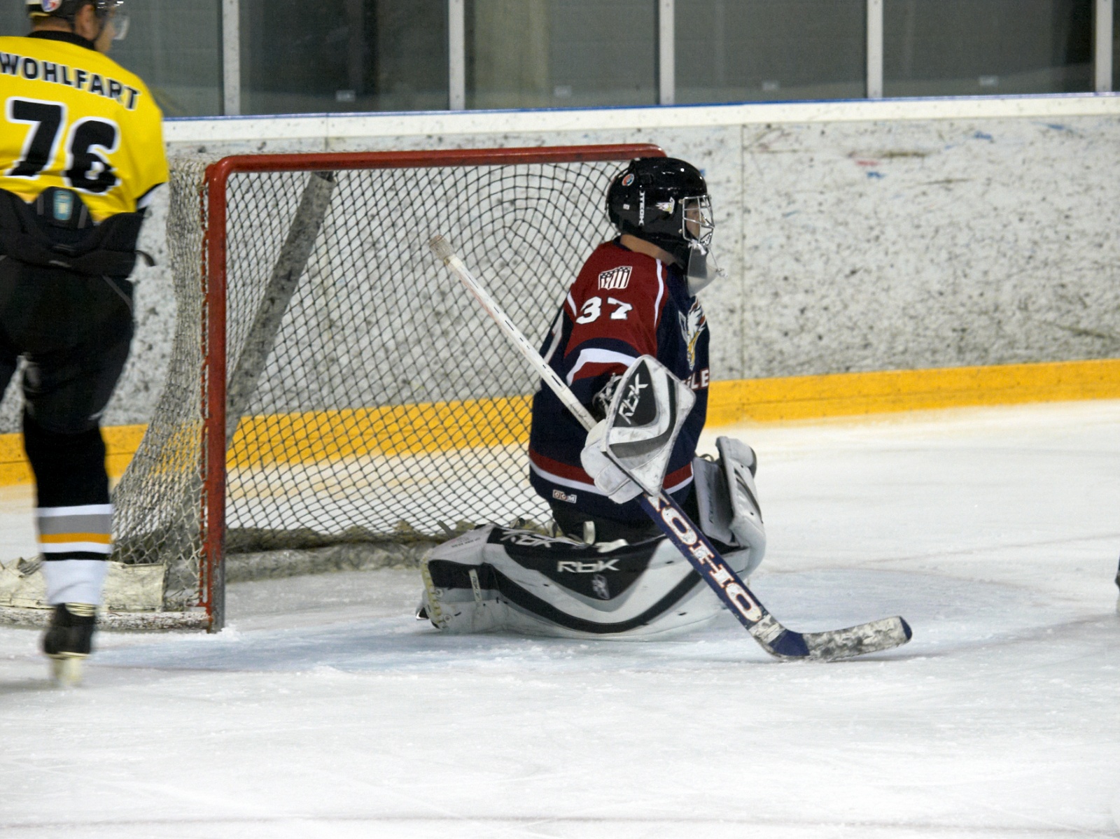 Eishockey 2009 04 04 21 42 39