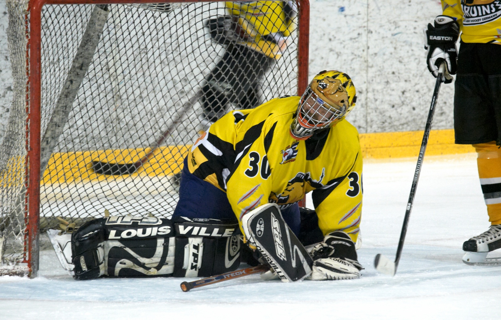 Eishockey 2009 04 04 21 50 36