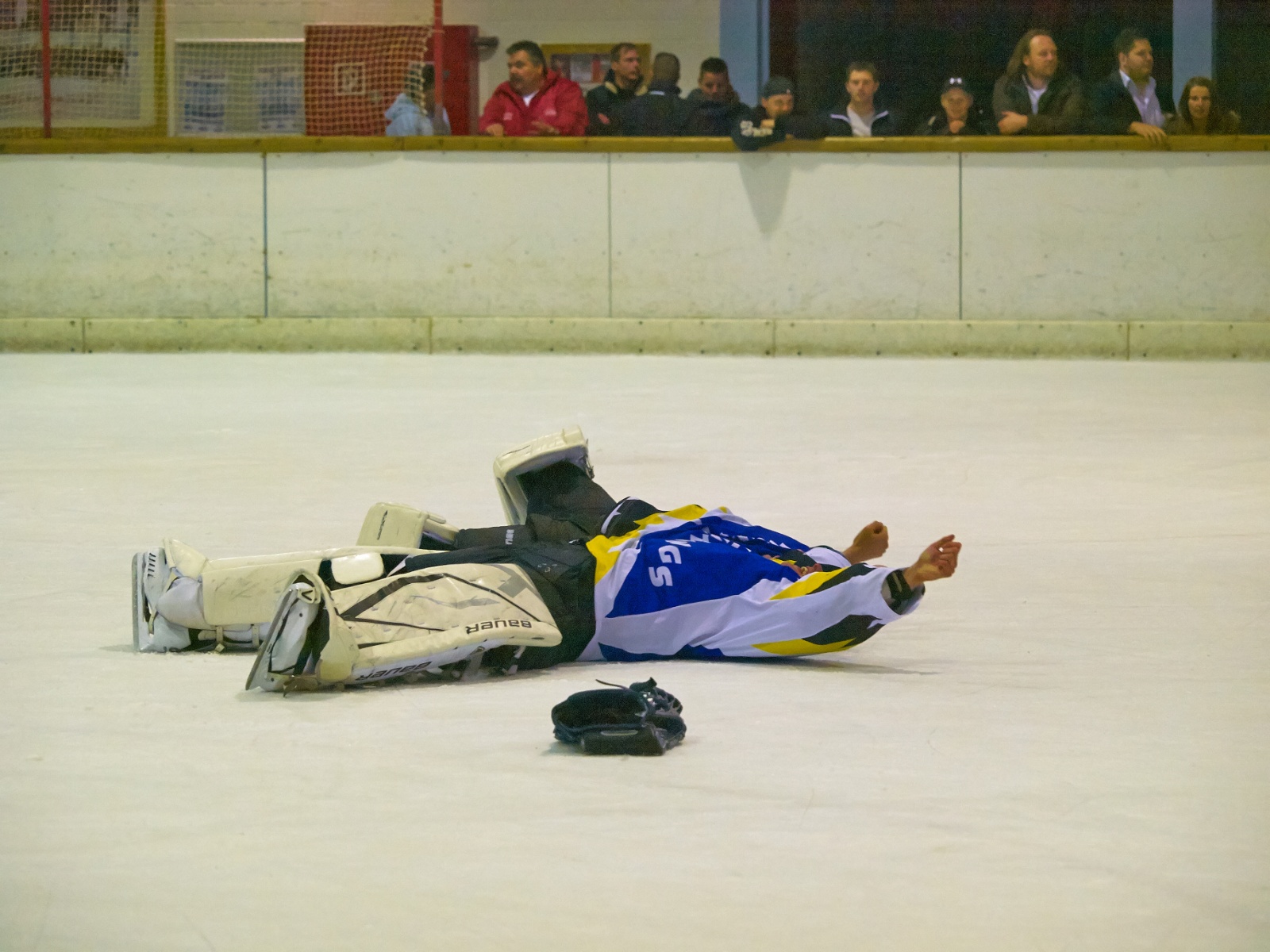 DPL Finale 2014 839 1