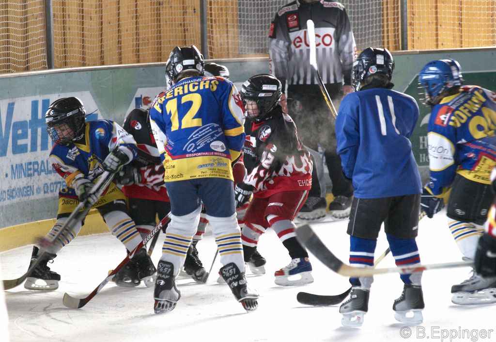 BNL 2008 11 29 11 13 49