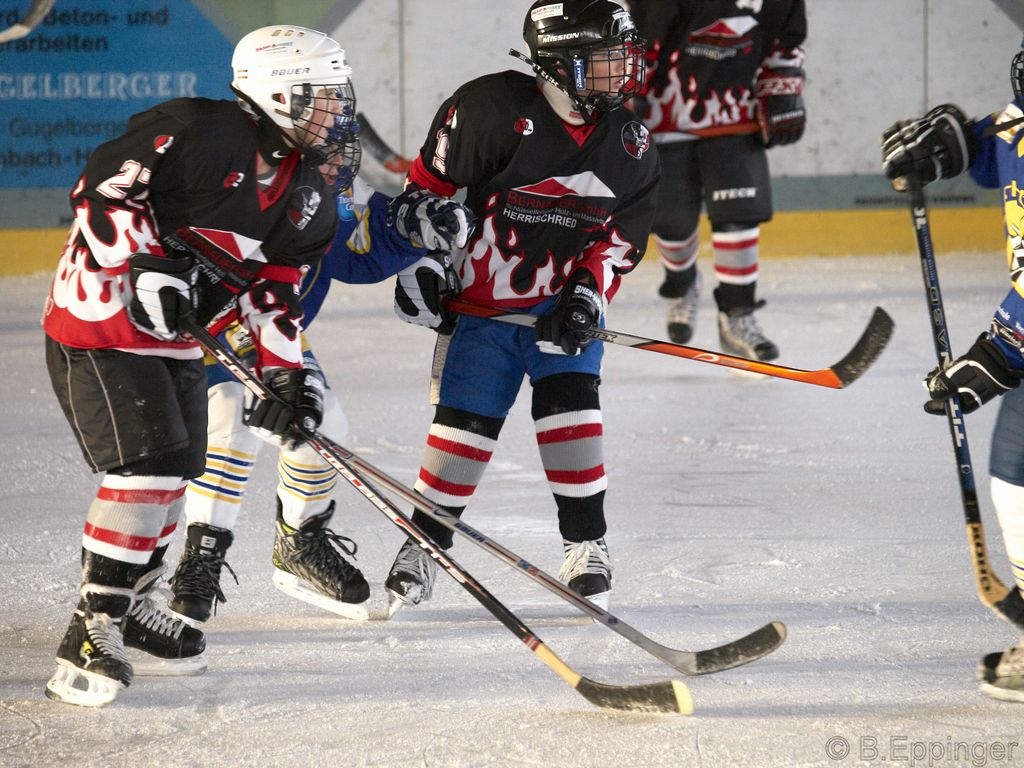 BNL 2008 11 29 11 18 26 02