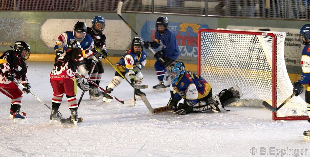 BNL 2008 11 29 11 20 24 02