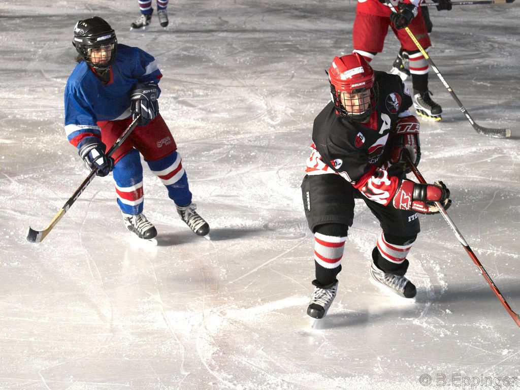 BNL 2008 11 29 11 58 01