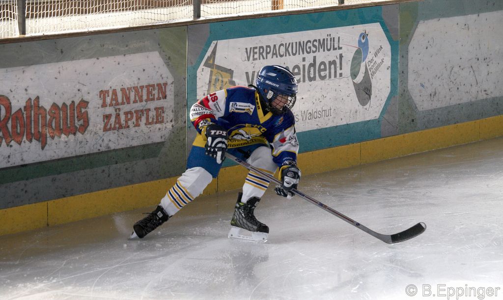 BNL 2008 11 29 11 59 05