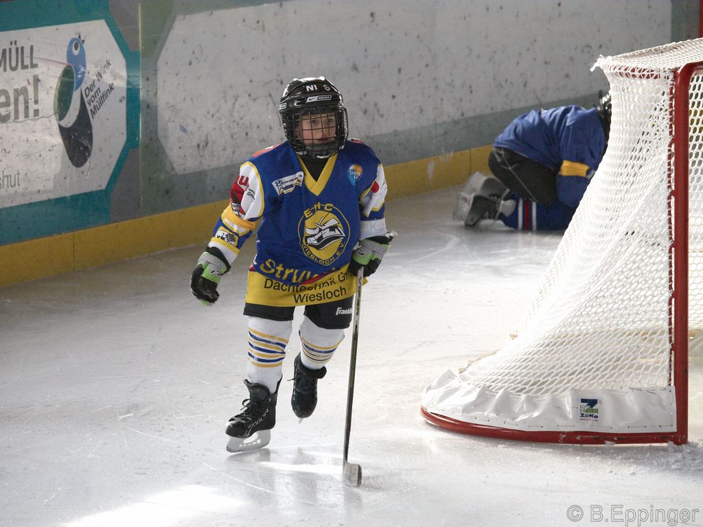 BNL 2008 11 29 12 17 06