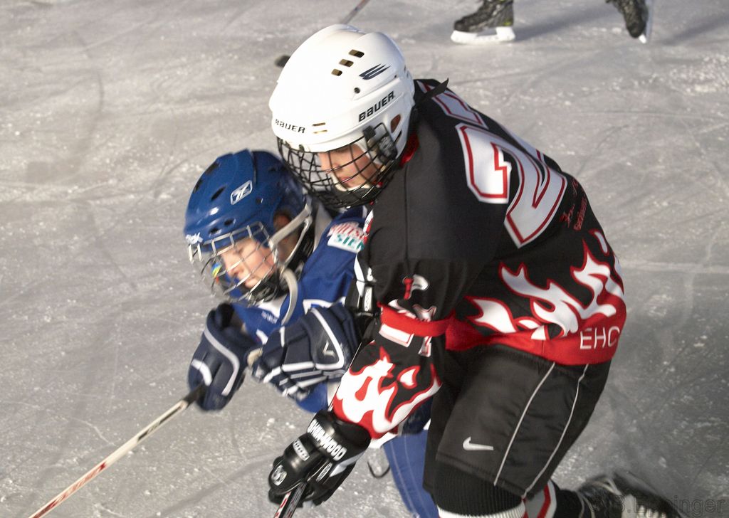 BNL 2008 11 29 12 21 52