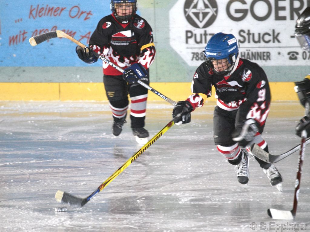 BNL 2008 11 29 12 48 00