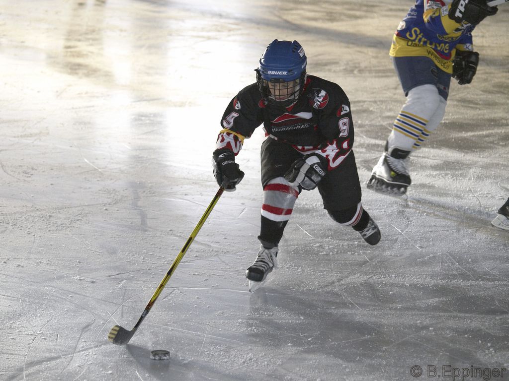 BNL 2008 11 29 12 48 04