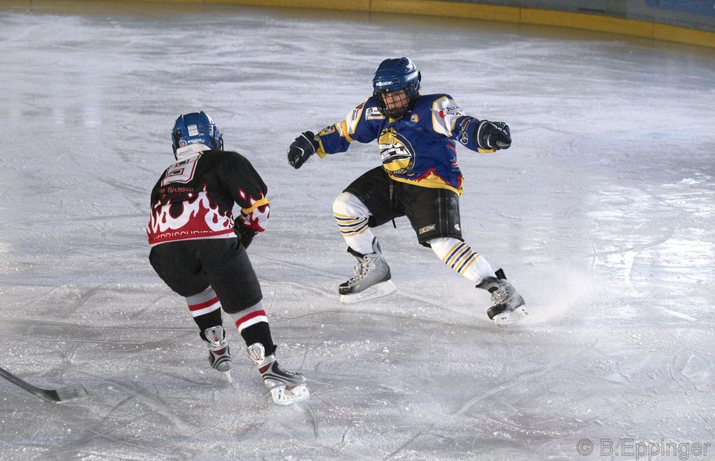 BNL 2008 11 29 12 48 07