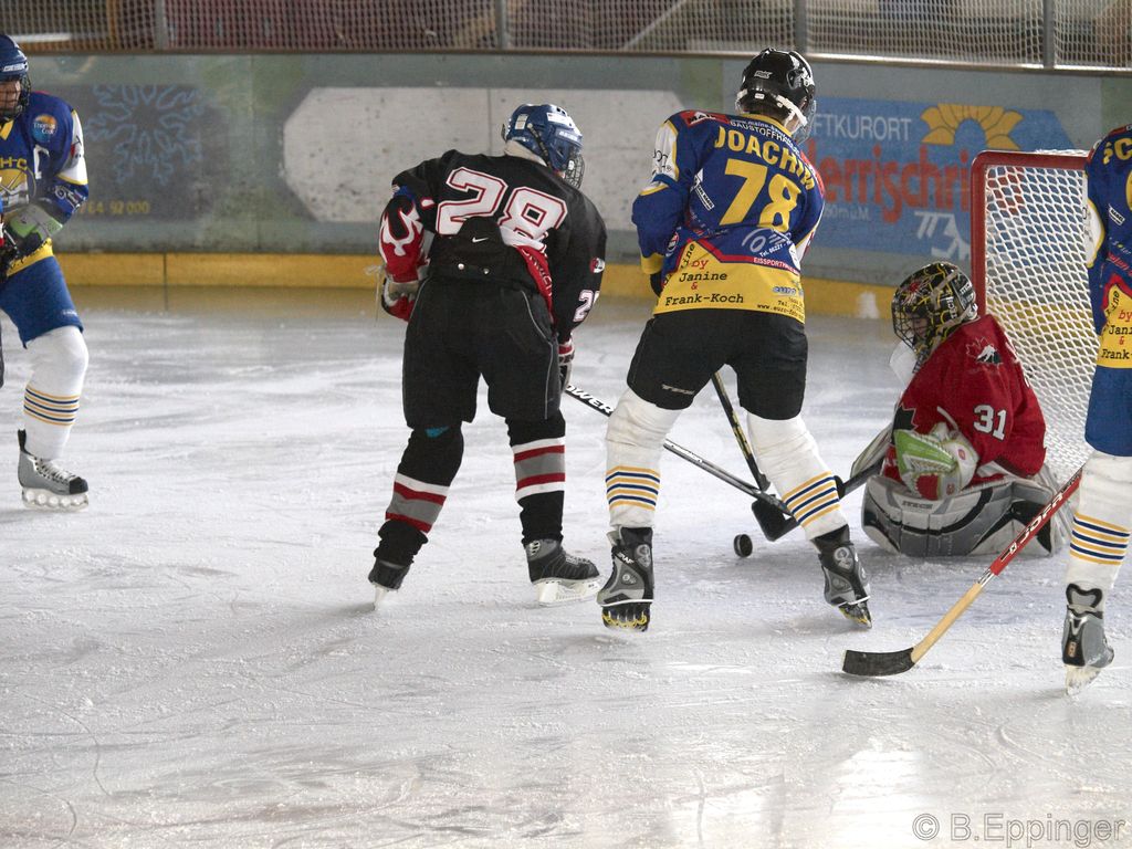 BNL 2008 11 29 12 49 48