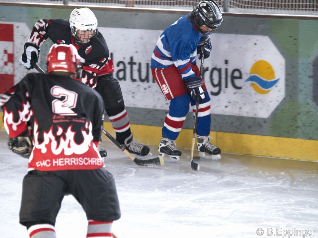 BNL 2008 11 29 12 51 44