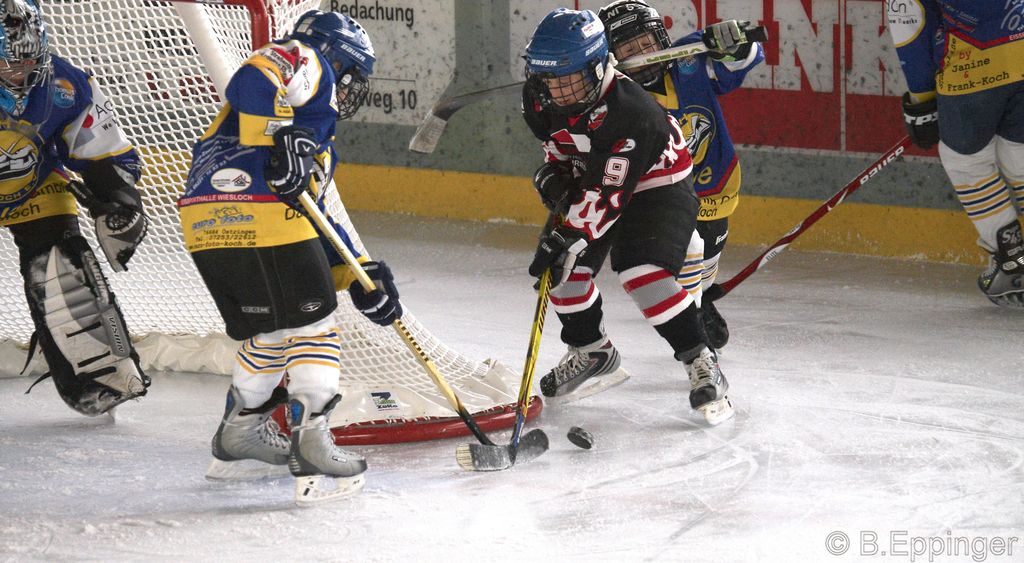 BNL 2008 11 29 13 01 09