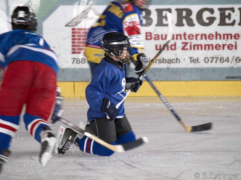 Normal BNL 2008 11 29 10 44 21