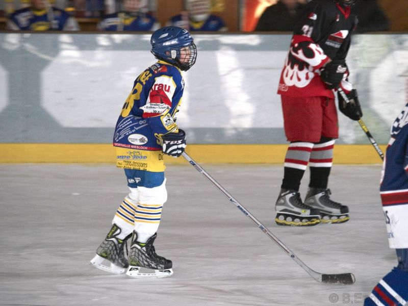 Normal BNL 2008 11 29 11 12 04 02