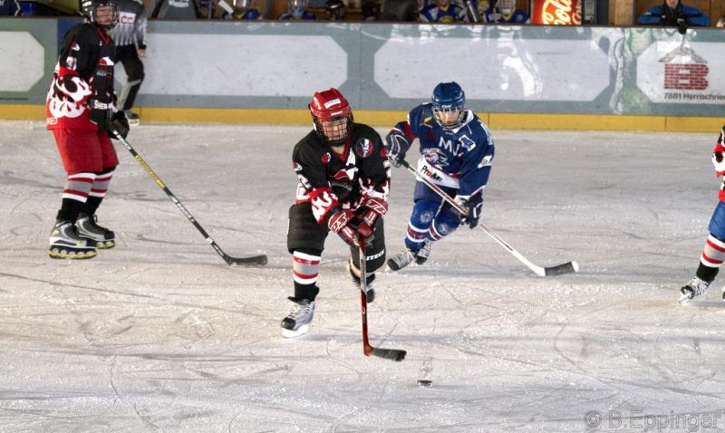 Normal BNL 2008 11 29 11 17 35