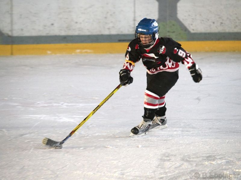 Normal BNL 2008 11 29 11 20 38