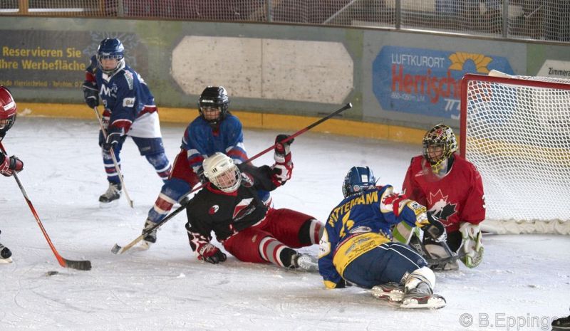 Normal BNL 2008 11 29 11 24 23