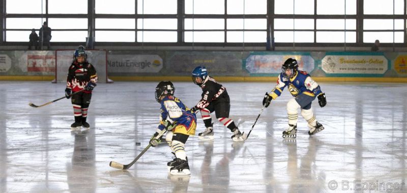 Normal BNL 2008 11 29 11 54 31