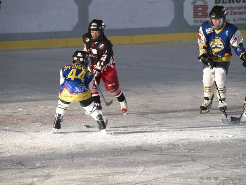 Normal BNL 2008 11 29 12 16 47