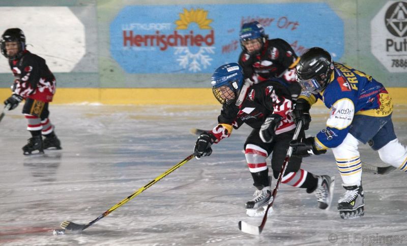 Normal BNL 2008 11 29 12 48 01