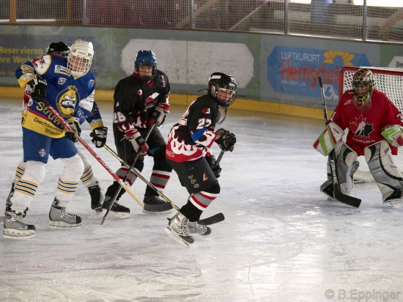 Normal BNL 2008 11 29 12 48 50