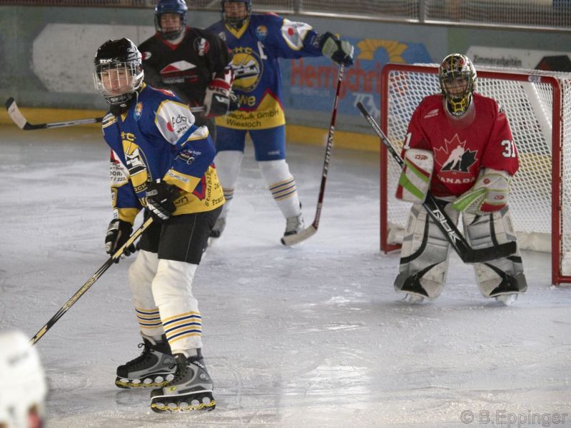 Normal BNL 2008 11 29 12 49 40