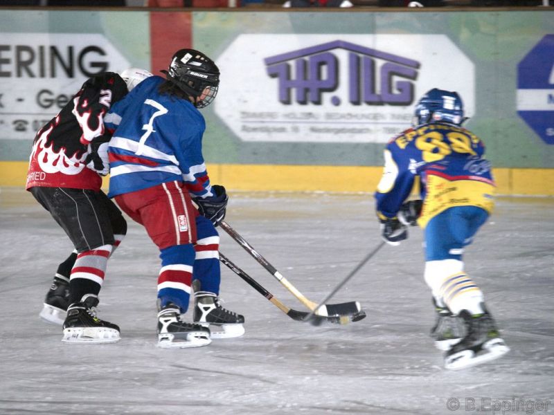 Normal BNL 2008 11 29 12 51 38