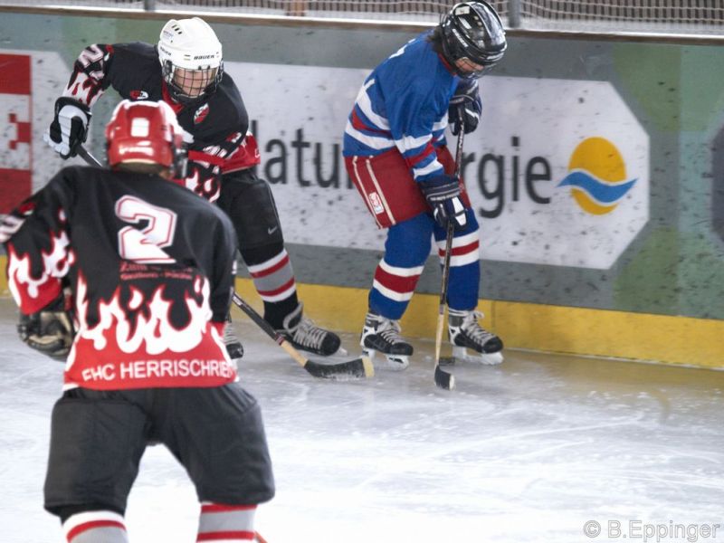 Normal BNL 2008 11 29 12 51 44