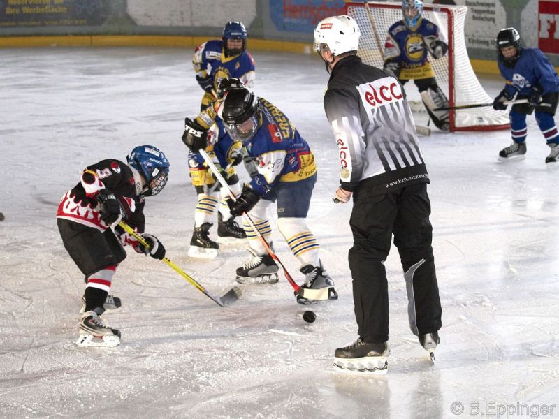 Normal BNL 2008 11 29 12 53 37