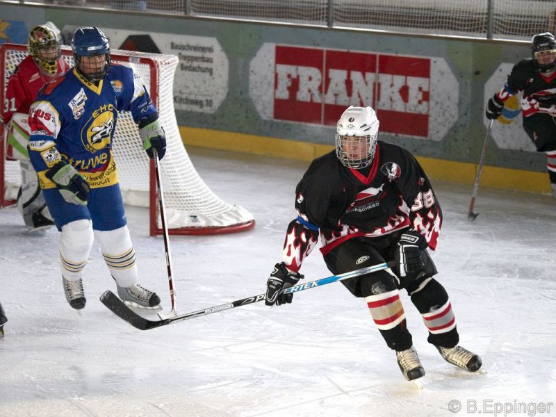 Normal BNL 2008 11 29 12 56 05