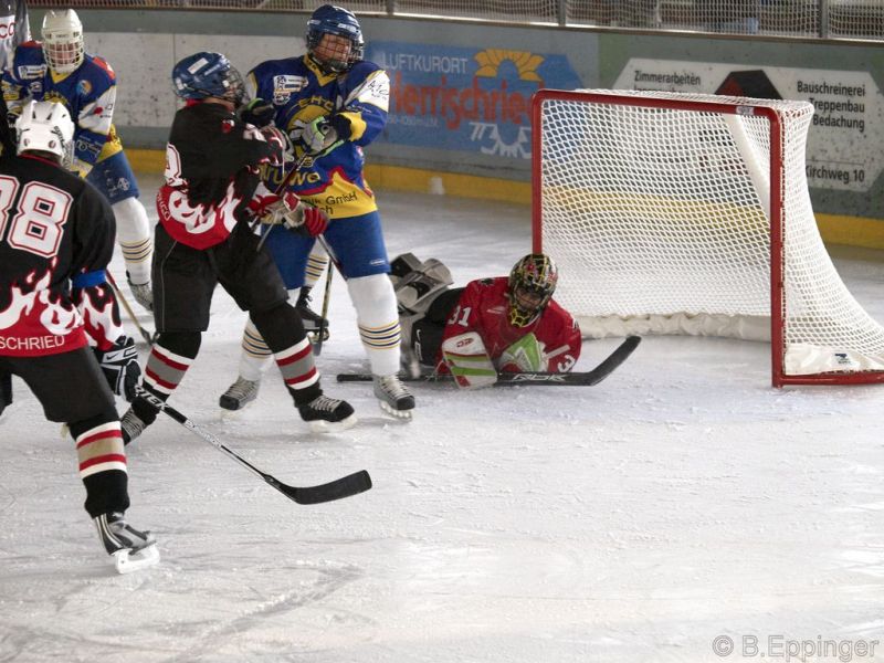 Normal BNL 2008 11 29 12 56 14 02