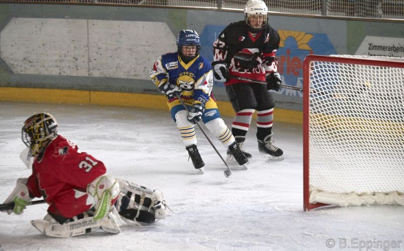 Normal BNL 2008 11 29 12 59 24