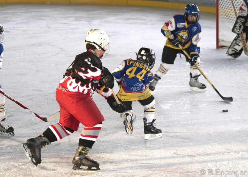 Normal BNL 2008 11 29 13 00 38