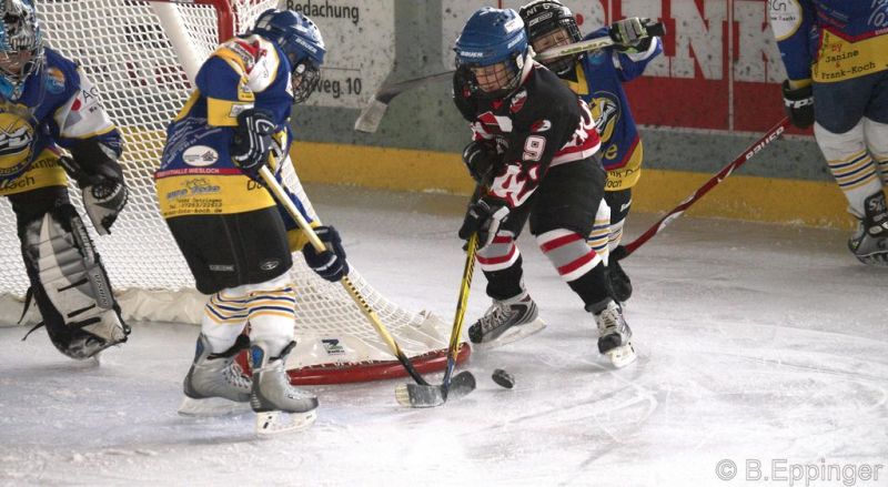 Normal BNL 2008 11 29 13 01 09