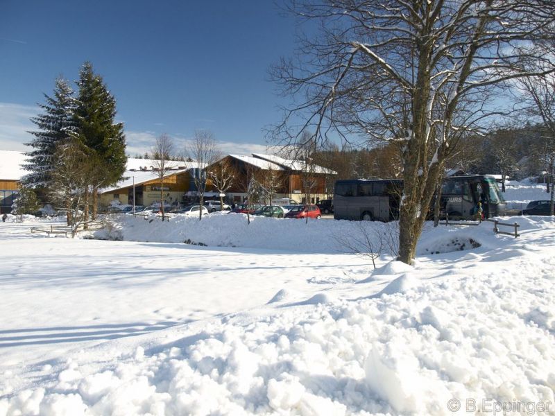 Normal BNL 2008 11 29 13 45 33