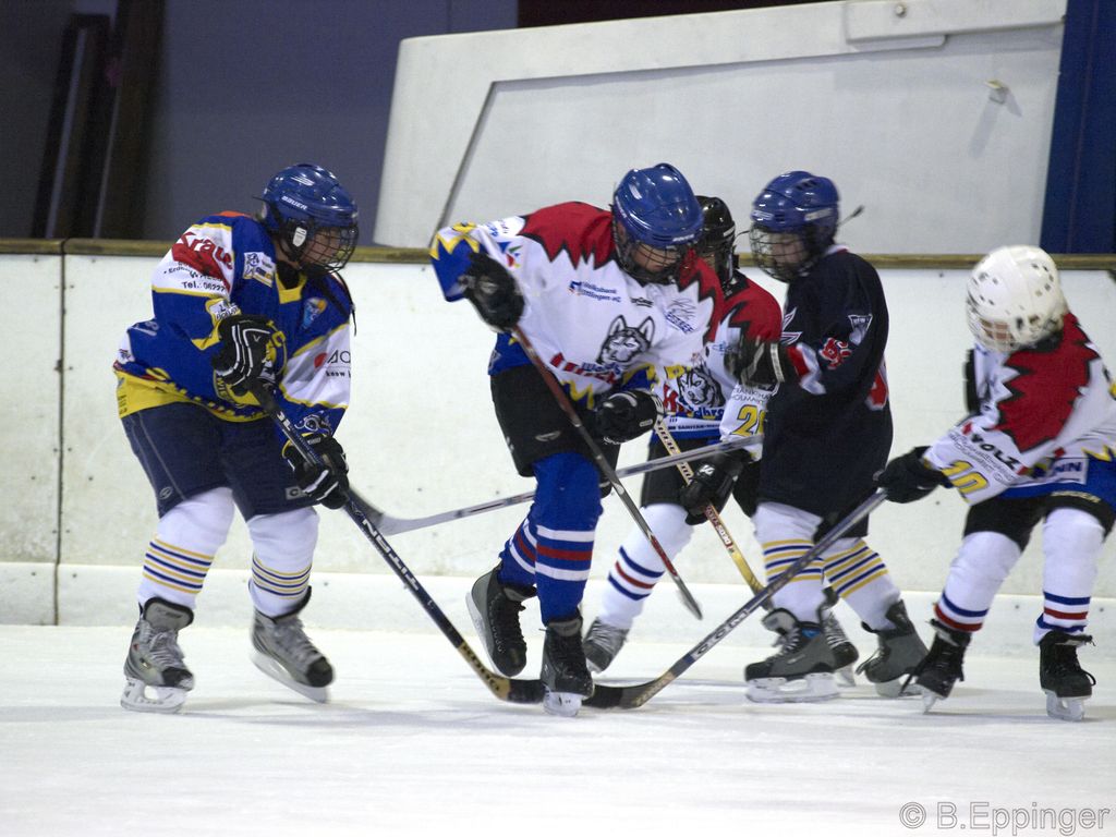 BNL 2008 11 22 08 18 42