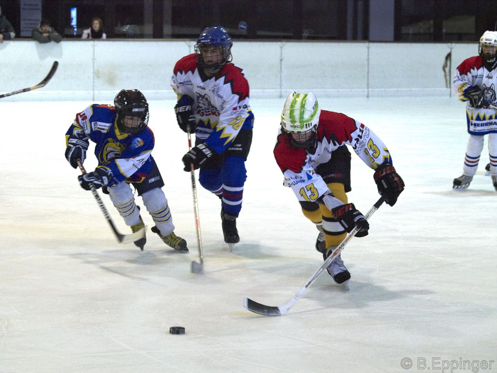 BNL 2008 11 22 08 26 04