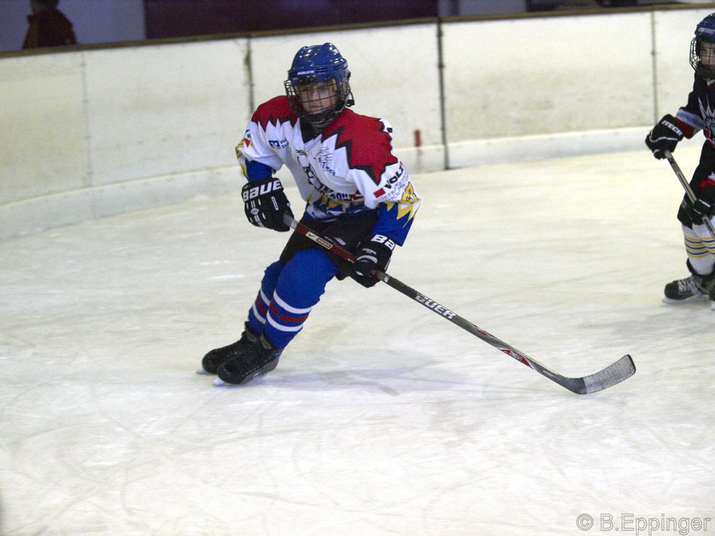 BNL 2008 11 22 08 34 09