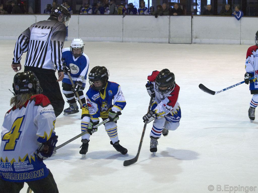 BNL 2008 11 22 08 35 10