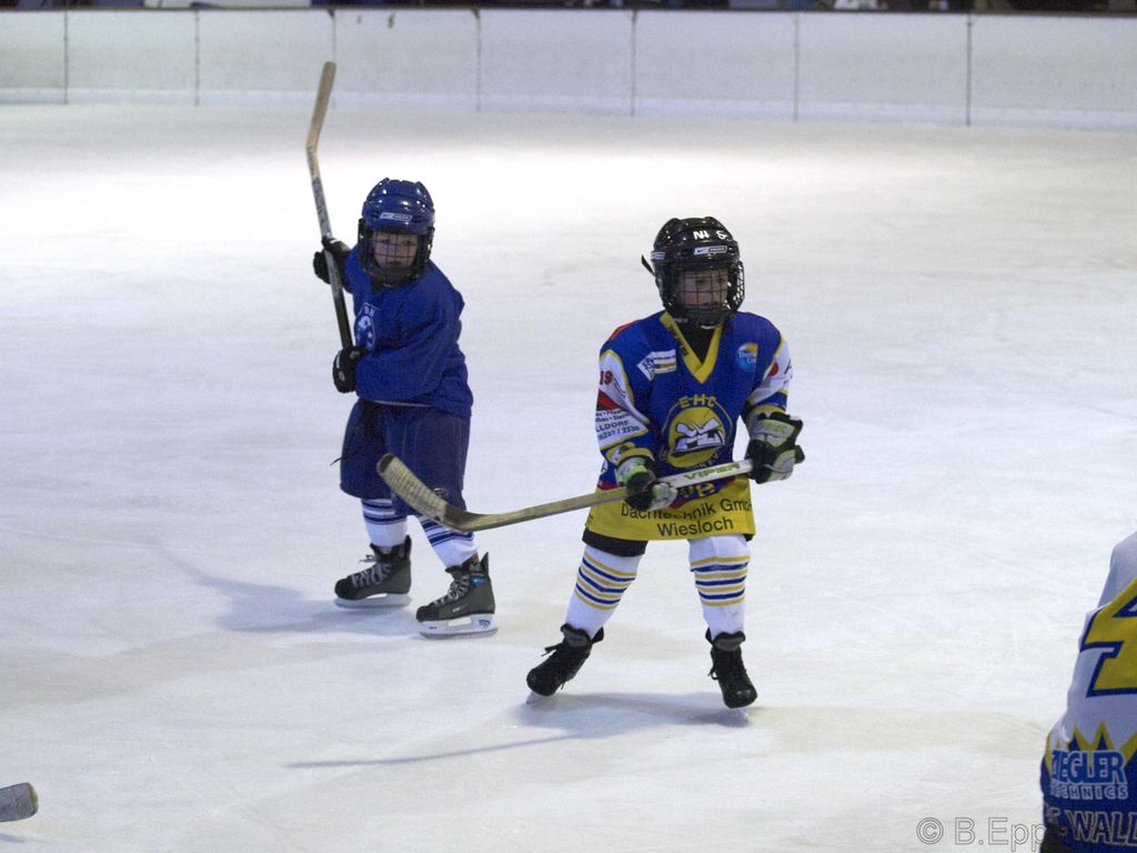 BNL 2008 11 22 08 35 13