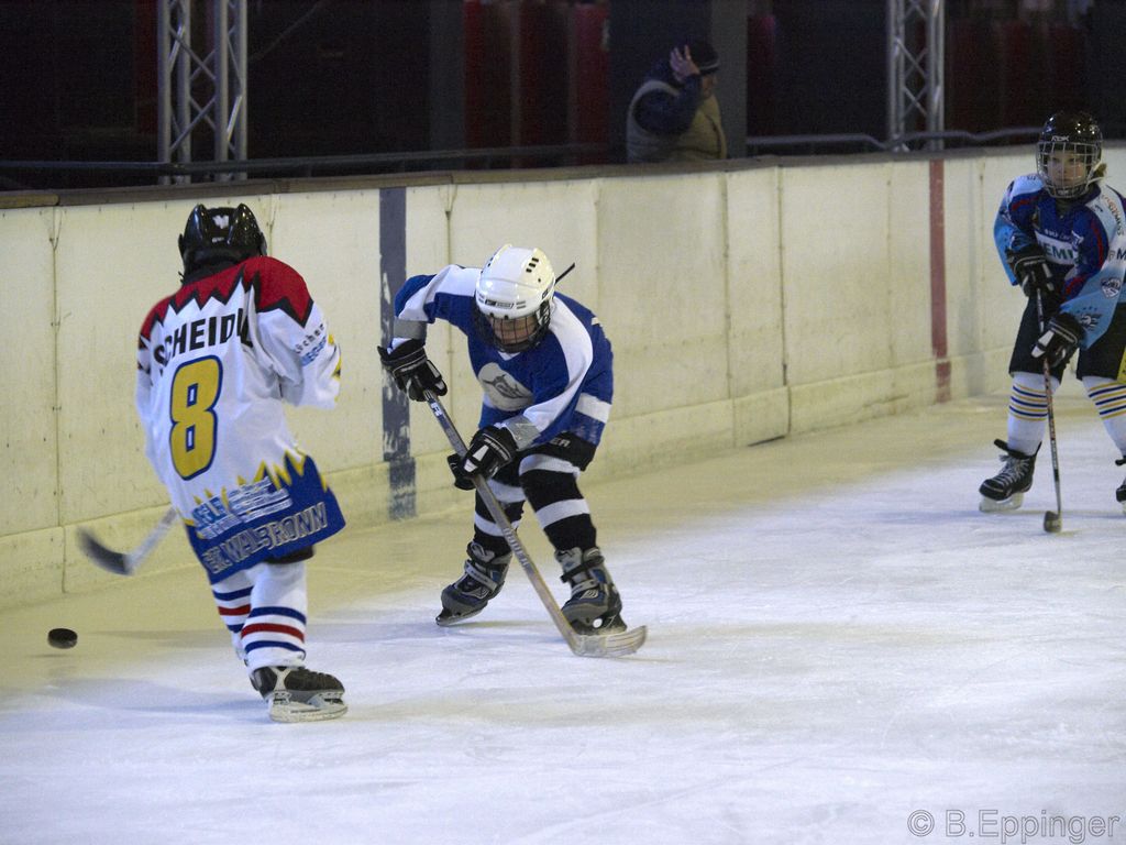 BNL 2008 11 22 08 36 14