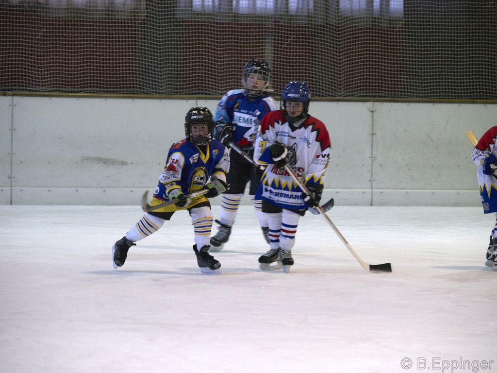 BNL 2008 11 22 08 38 09