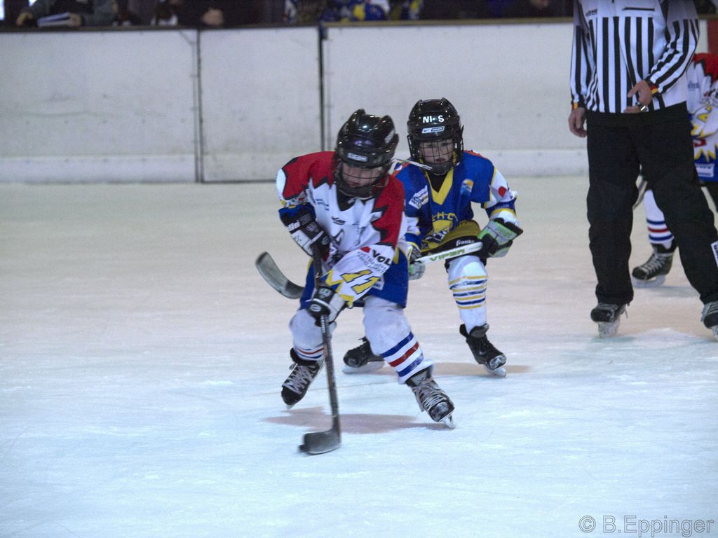 BNL 2008 11 22 08 47 33