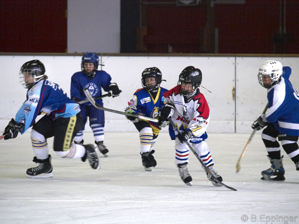 BNL 2008 11 22 09 07 40