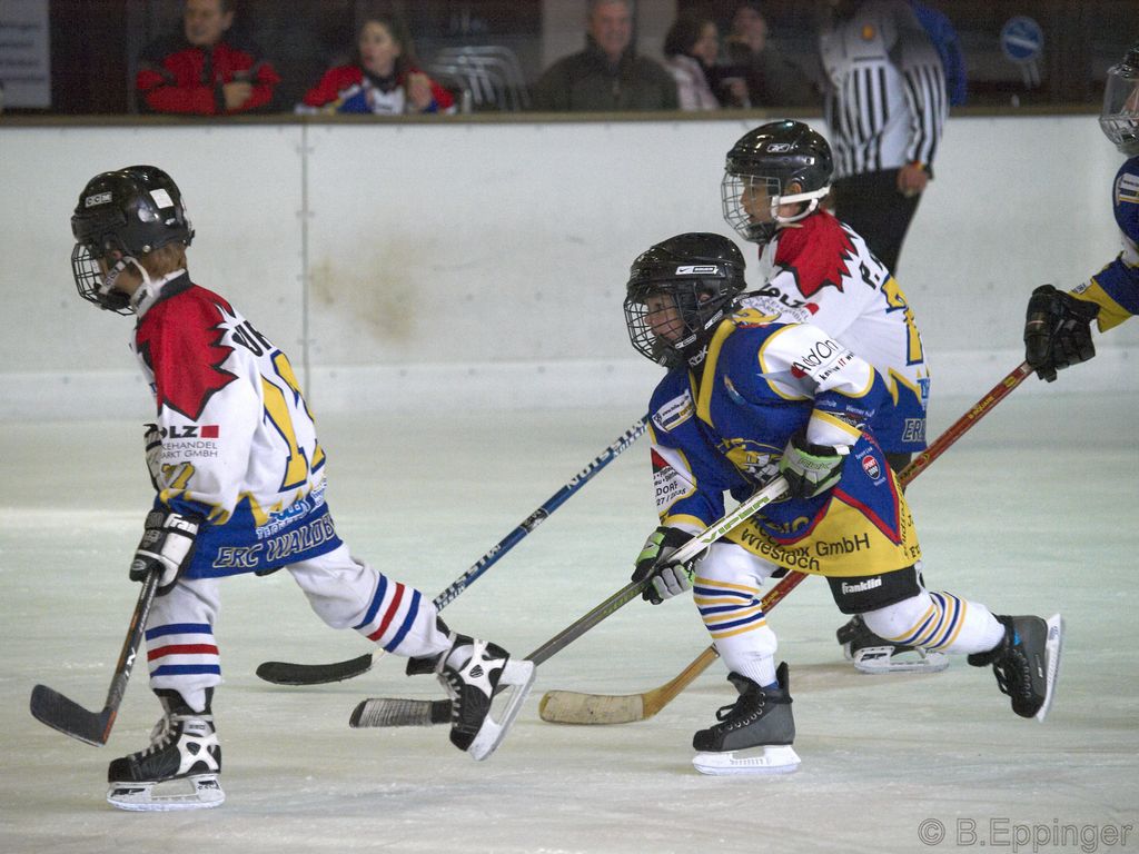 BNL 2008 11 22 09 07 47