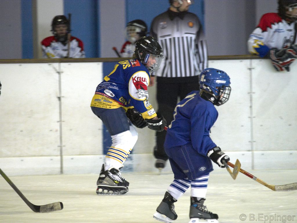 BNL 2008 11 22 09 08 42