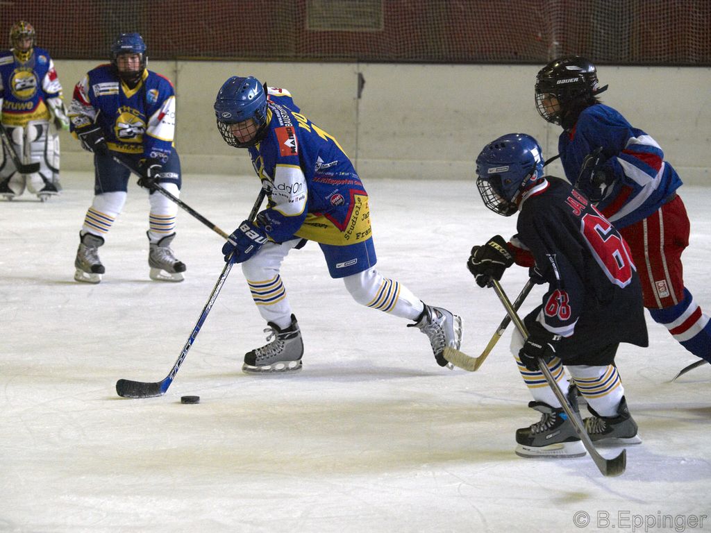 BNL 2008 11 22 09 15 05