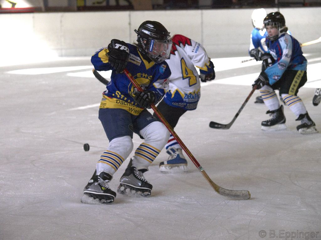 BNL 2008 11 22 09 47 35