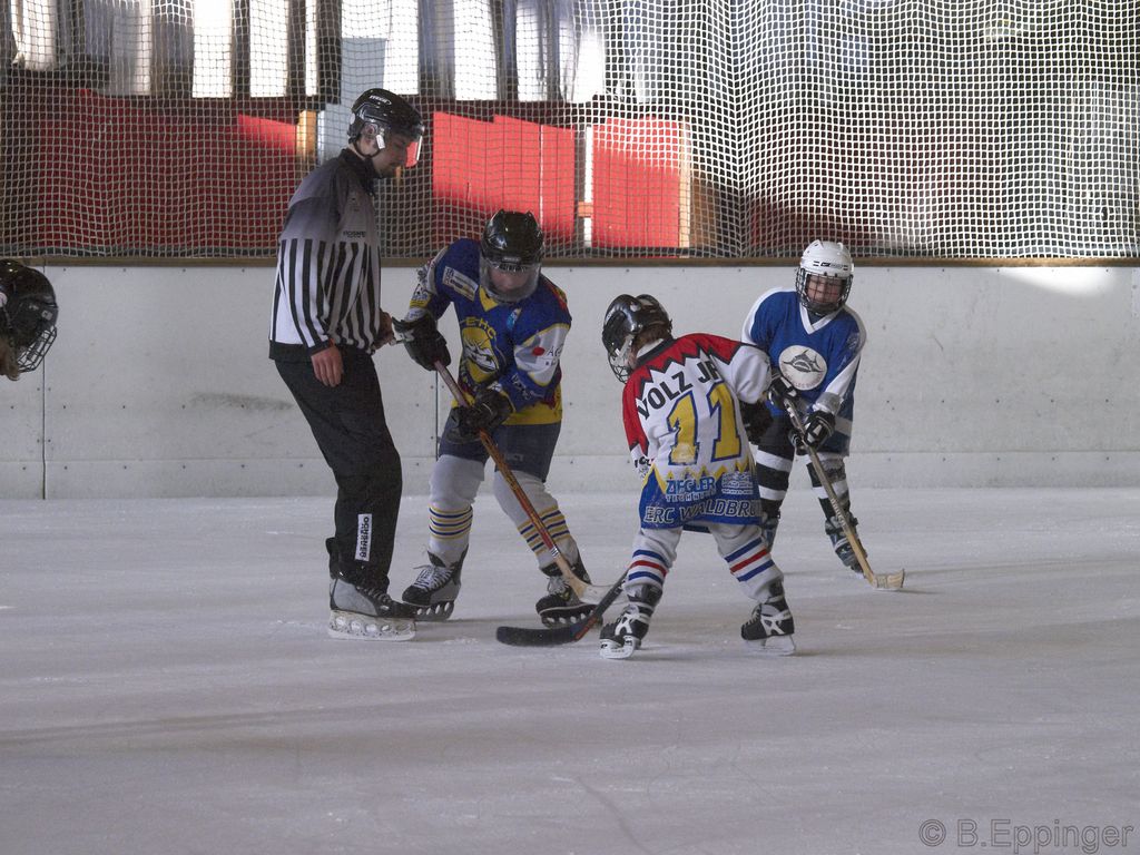 BNL 2008 11 22 09 48 47